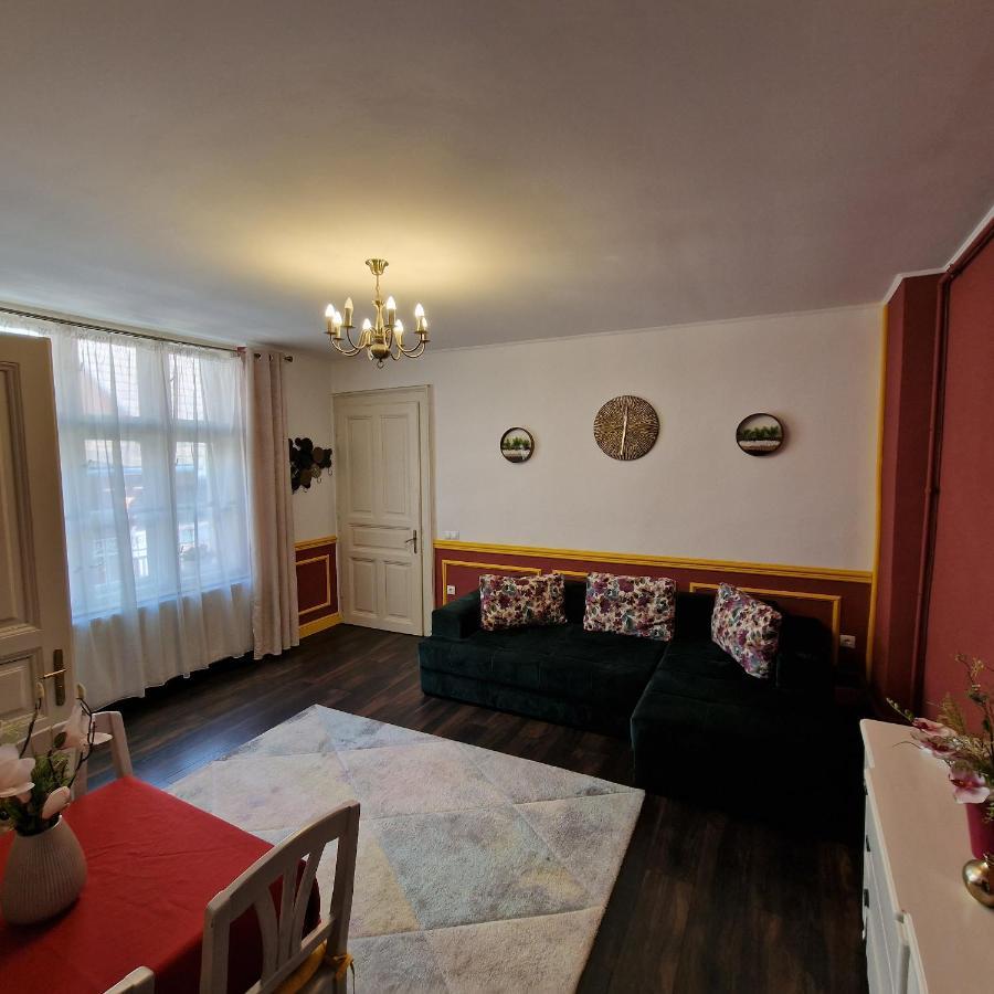 Central Park Apartment Сігішоара Екстер'єр фото