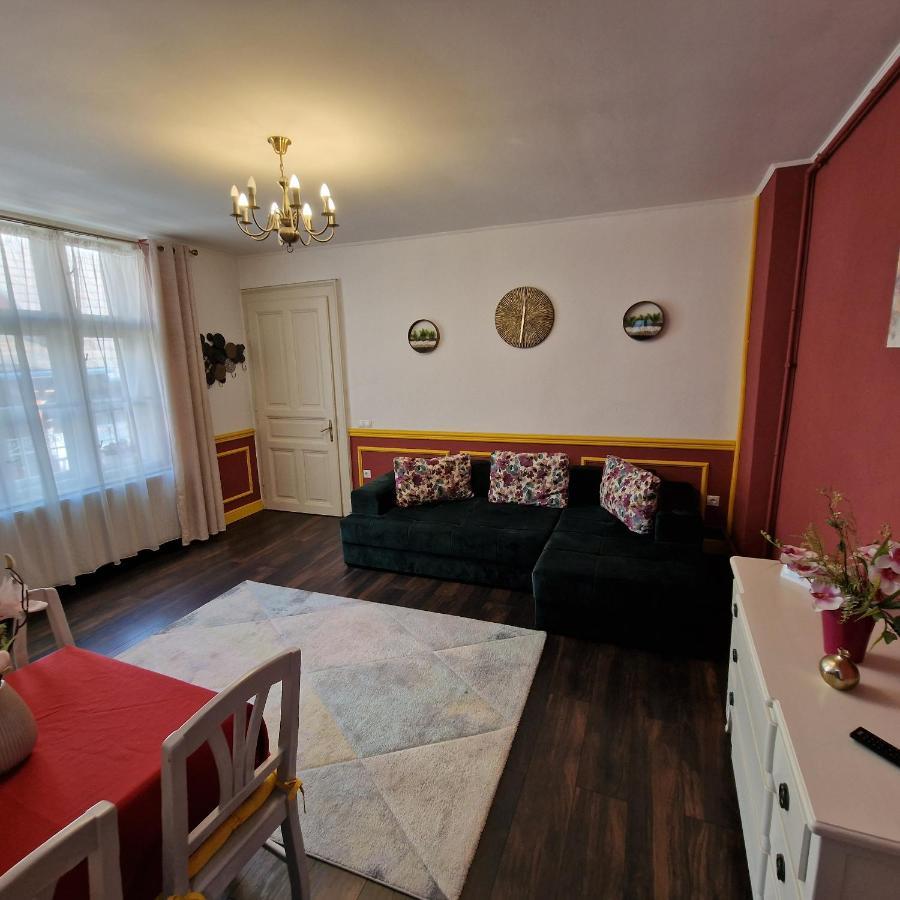Central Park Apartment Сігішоара Екстер'єр фото
